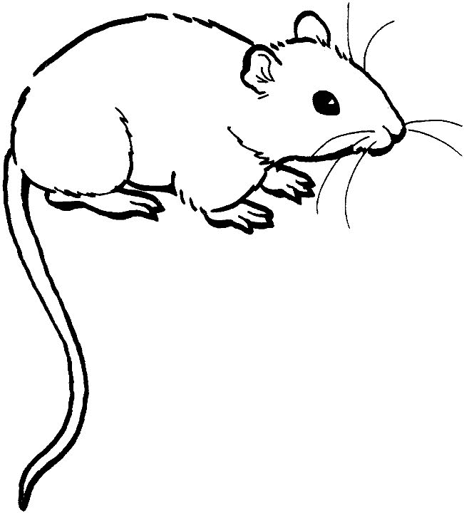 ぬりえページ: マウス (動物) #13941 - 無料の印刷可能なぬりえページ
