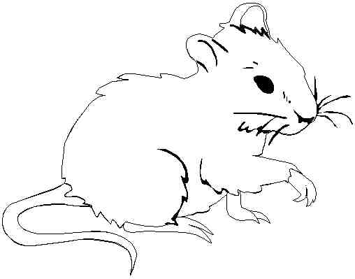 ぬりえページ: マウス (動物) #13943 - 無料の印刷可能なぬりえページ