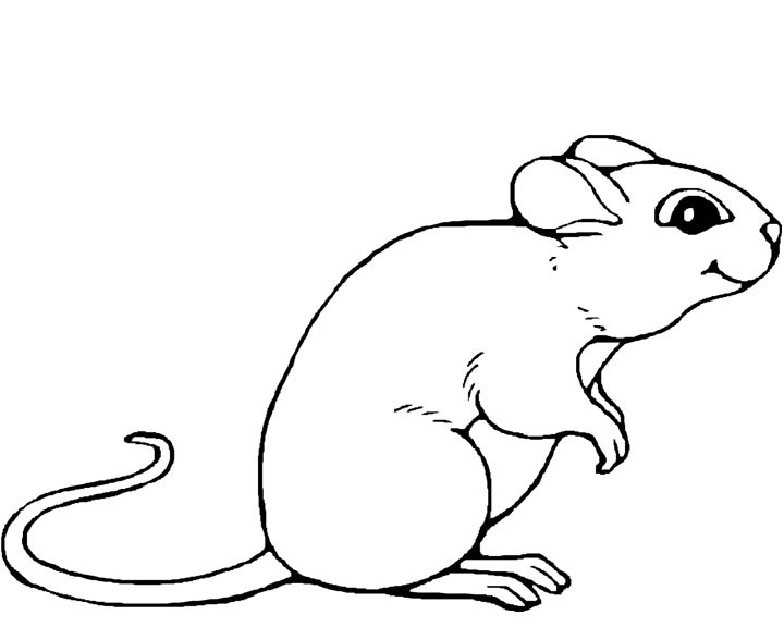 ぬりえページ: マウス (動物) #13947 - 無料の印刷可能なぬりえページ