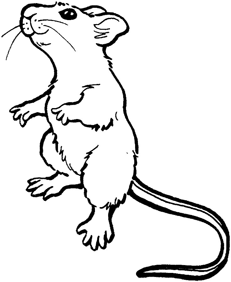 ぬりえページ: マウス (動物) #13953 - 無料の印刷可能なぬりえページ