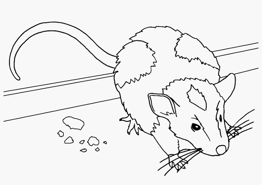 ぬりえページ: マウス (動物) #13963 - 無料の印刷可能なぬりえページ