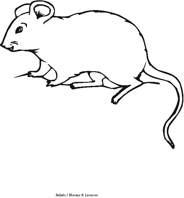 ぬりえページ: マウス (動物) #14111 - 無料の印刷可能なぬりえページ