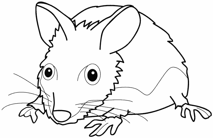 ぬりえページ: マウス (動物) #14130 - 無料の印刷可能なぬりえページ