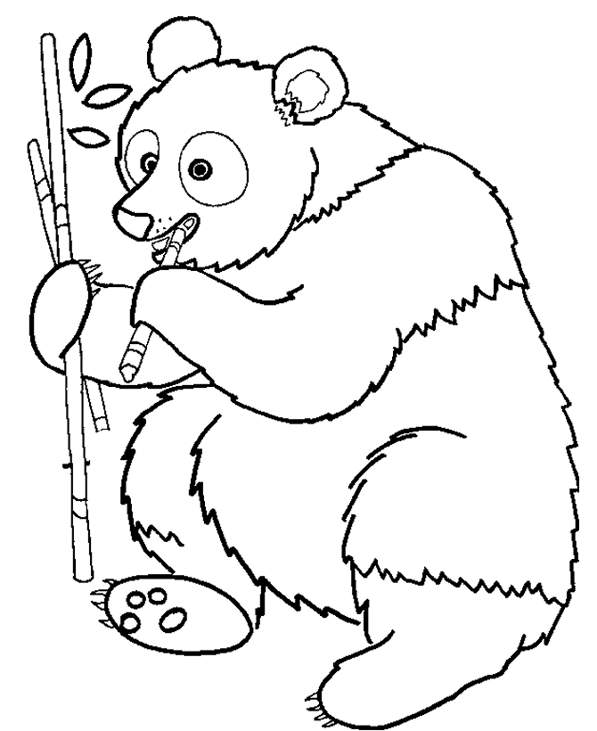 ぬりえページ: パンダ (動物) #12463 - 無料の印刷可能なぬりえページ