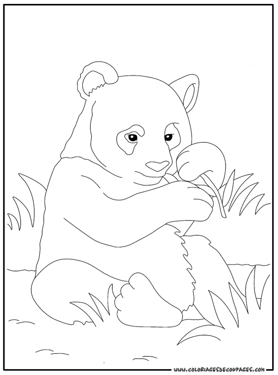 ぬりえページ: パンダ (動物) #12488 - 無料の印刷可能なぬりえページ