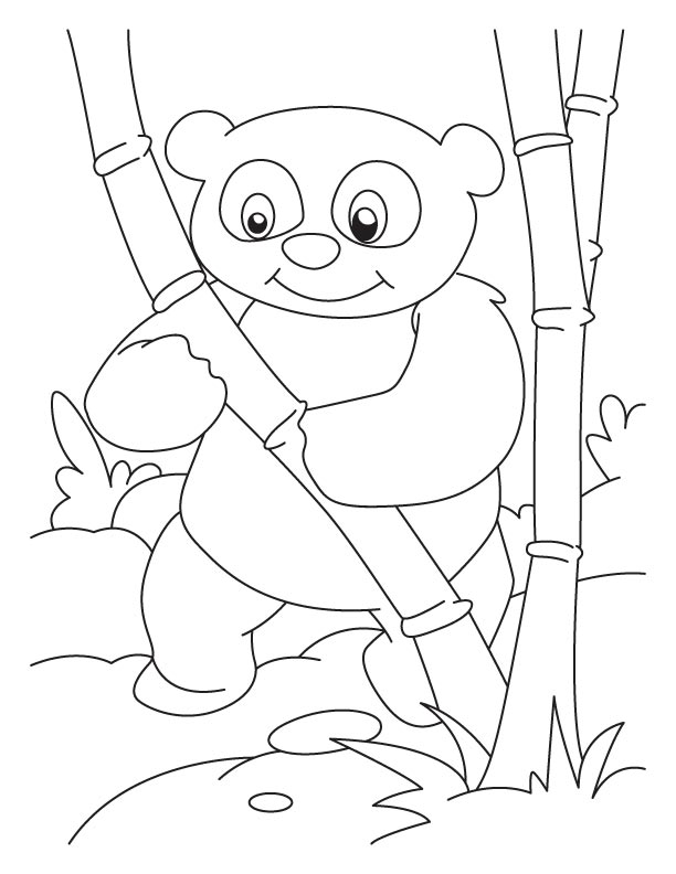 ぬりえページ: パンダ (動物) #12550 - 無料の印刷可能なぬりえページ
