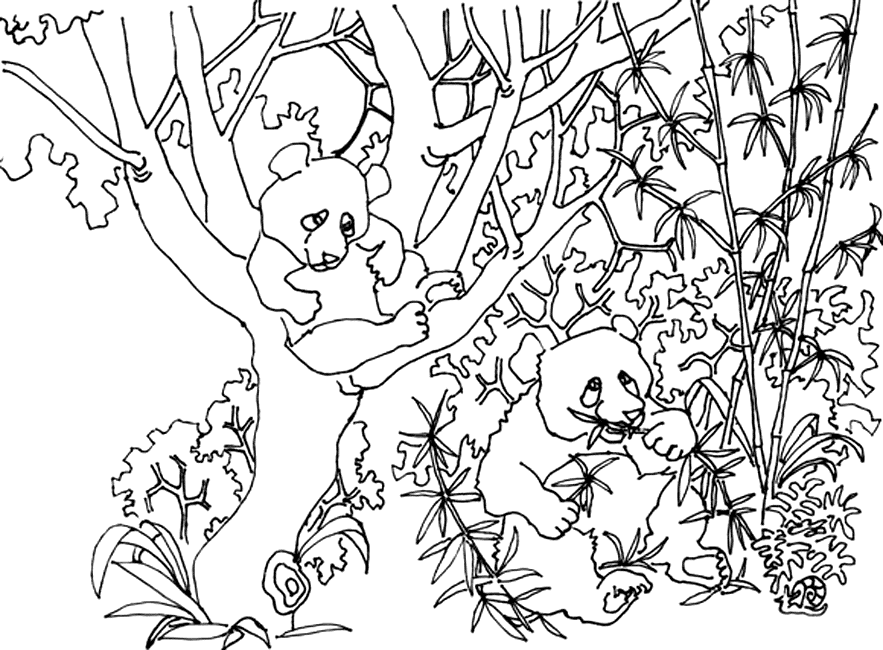 ぬりえページ: パンダ (動物) #12603 - 無料の印刷可能なぬりえページ