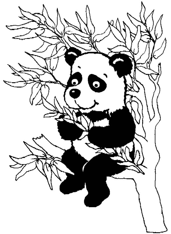 ぬりえページ: パンダ (動物) #12610 - 無料の印刷可能なぬりえページ