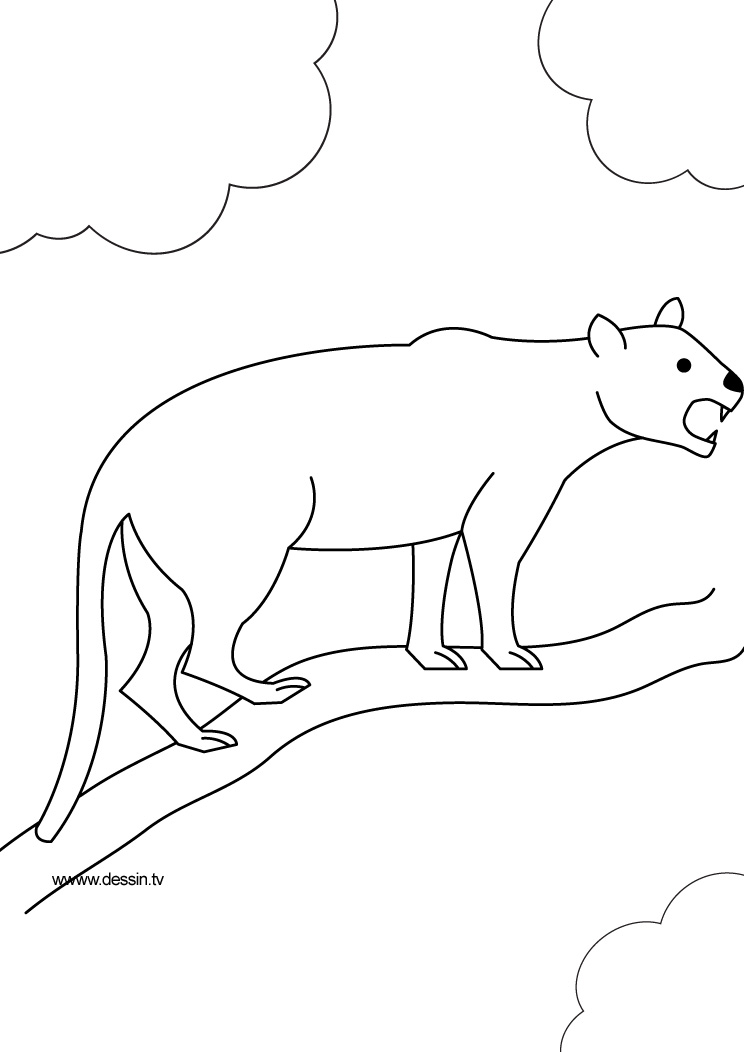 ぬりえページ: パンサー (動物) #15525 - 無料の印刷可能なぬりえページ