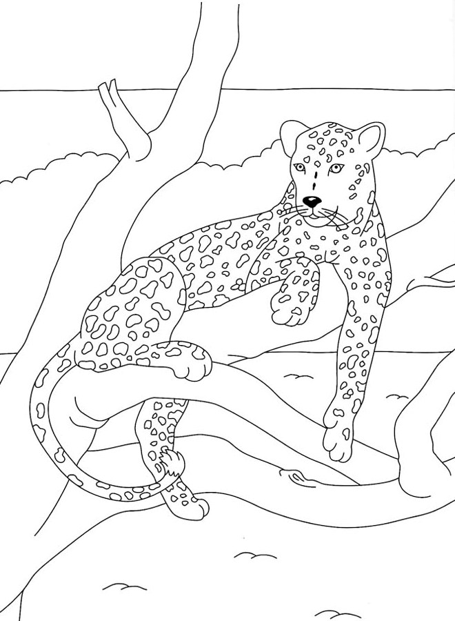 ぬりえページ: パンサー (動物) #15557 - 無料の印刷可能なぬりえページ