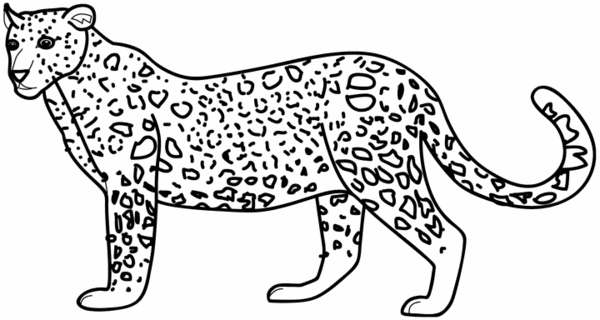 ぬりえページ: パンサー (動物) #15592 - 無料の印刷可能なぬりえページ