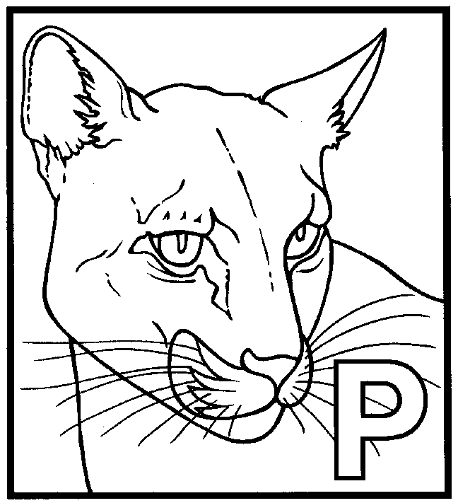 ぬりえページ: パンサー (動物) #15594 - 無料の印刷可能なぬりえページ