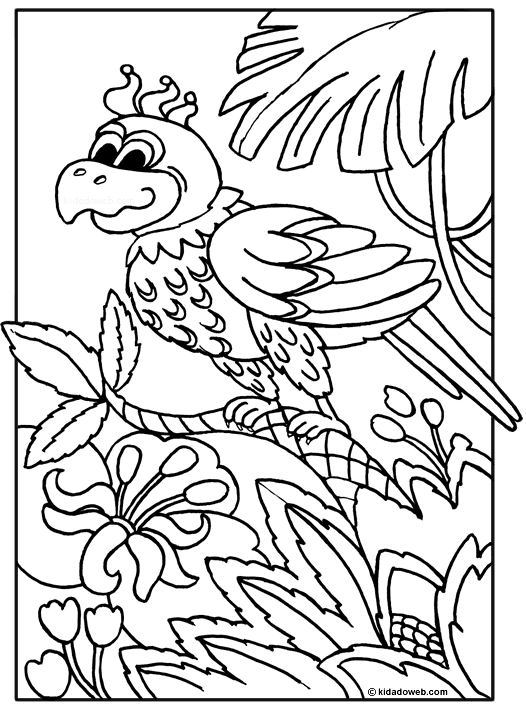 ぬりえページ: オウム (動物) #16094 - 無料の印刷可能なぬりえページ