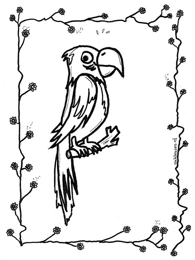 ぬりえページ: オウム (動物) #16245 - 無料の印刷可能なぬりえページ