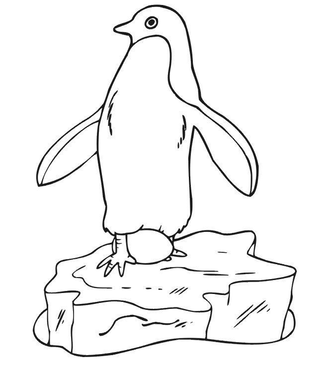 ぬりえページ: ペンギン (動物) #16864 - 無料の印刷可能なぬりえページ