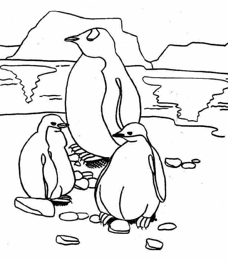 ぬりえページ: ペンギン (動物) #16876 - 無料の印刷可能なぬりえページ