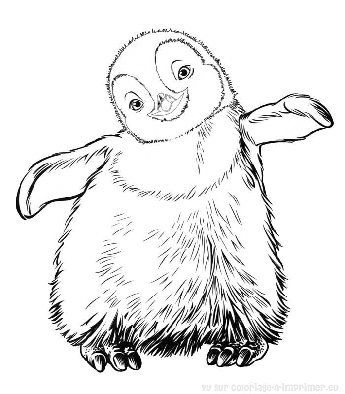 ぬりえページ: ペンギン (動物) #16887 - 無料の印刷可能なぬりえページ