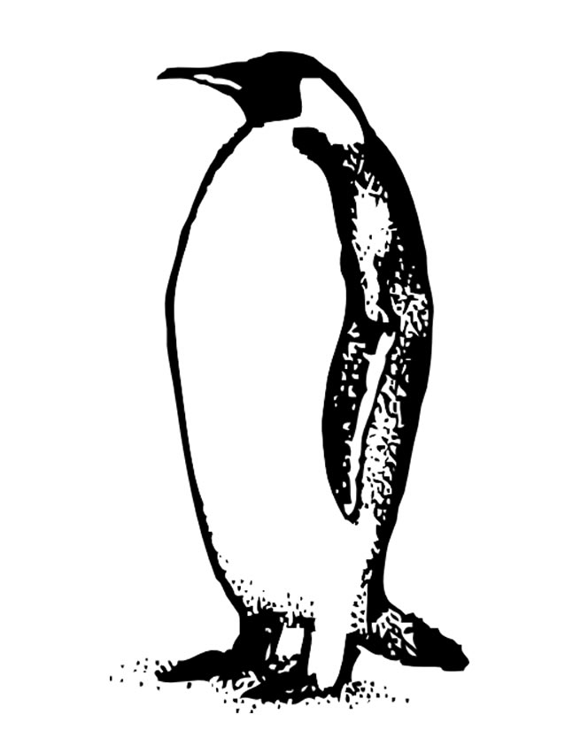 ぬりえページ: ペンギン (動物) #16905 - 無料の印刷可能なぬりえページ