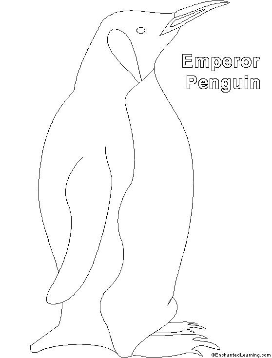 ぬりえページ: ペンギン (動物) #16994 - 無料の印刷可能なぬりえページ