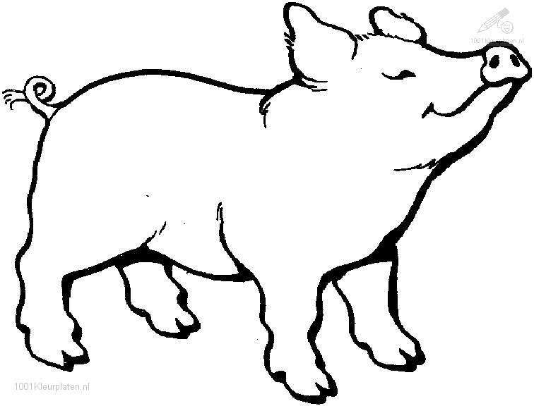 ぬりえページ: 豚 (動物) #3588 - 無料の印刷可能なぬりえページ