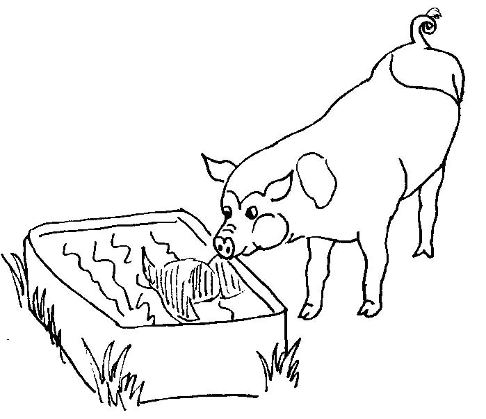 ぬりえページ: 豚 (動物) #3630 - 無料の印刷可能なぬりえページ