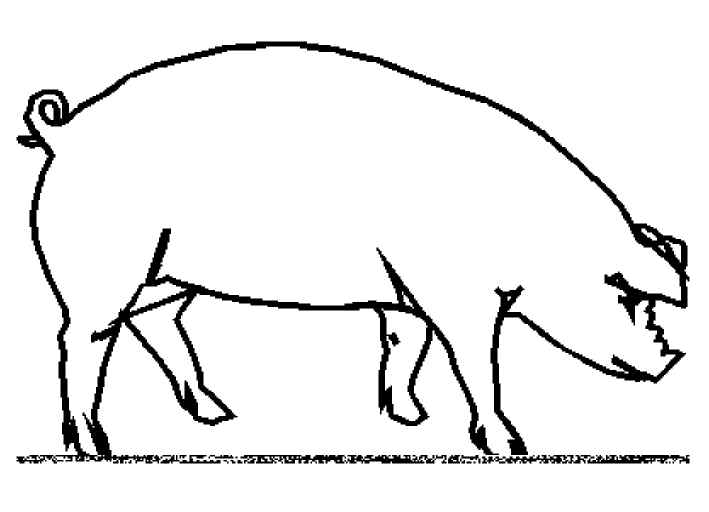 ぬりえページ: 豚 (動物) #3643 - 無料の印刷可能なぬりえページ