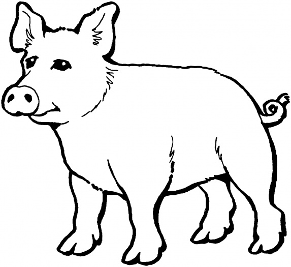 ぬりえページ: 豚 (動物) #3671 - 無料の印刷可能なぬりえページ