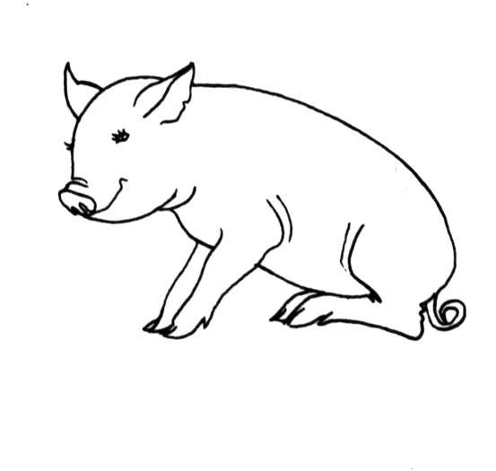 ぬりえページ: 豚 (動物) #3744 - 無料の印刷可能なぬりえページ