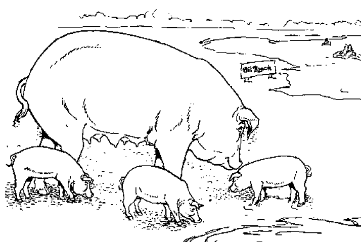 ぬりえページ: 豚肉 (動物) #17681 - 無料の印刷可能なぬりえページ