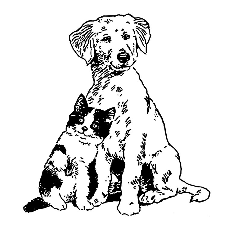ぬりえページ: 子犬 (動物) #2931 - 無料の印刷可能なぬりえページ
