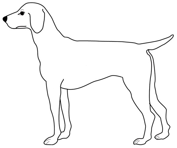 ぬりえページ: 子犬 (動物) #2956 - 無料の印刷可能なぬりえページ