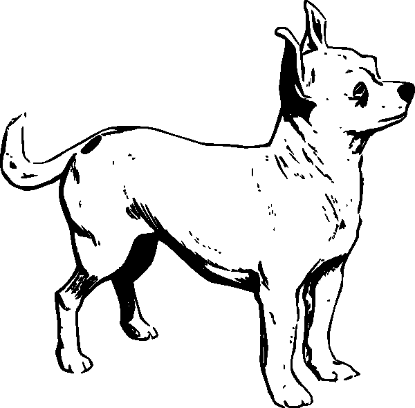 ぬりえページ: 子犬 (動物) #2962 - 無料の印刷可能なぬりえページ