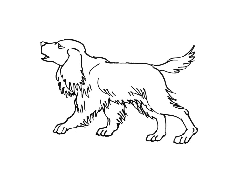 ぬりえページ: 子犬 (動物) #2964 - 無料の印刷可能なぬりえページ