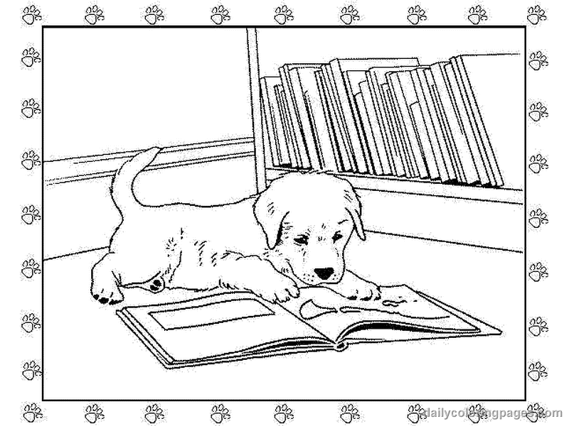 ぬりえページ: 子犬 (動物) #2973 - 無料の印刷可能なぬりえページ