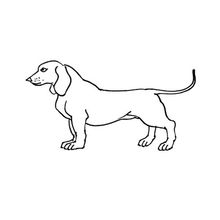 ぬりえページ: 子犬 (動物) #2979 - 無料の印刷可能なぬりえページ