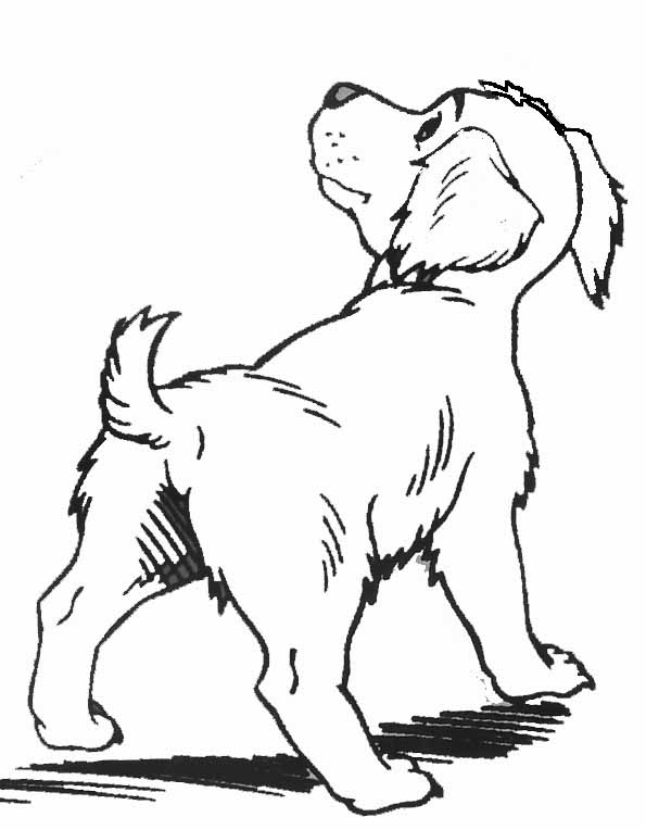 ぬりえページ: 子犬 (動物) #2988 - 無料の印刷可能なぬりえページ