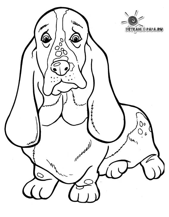 ぬりえページ: 子犬 (動物) #3000 - 無料の印刷可能なぬりえページ