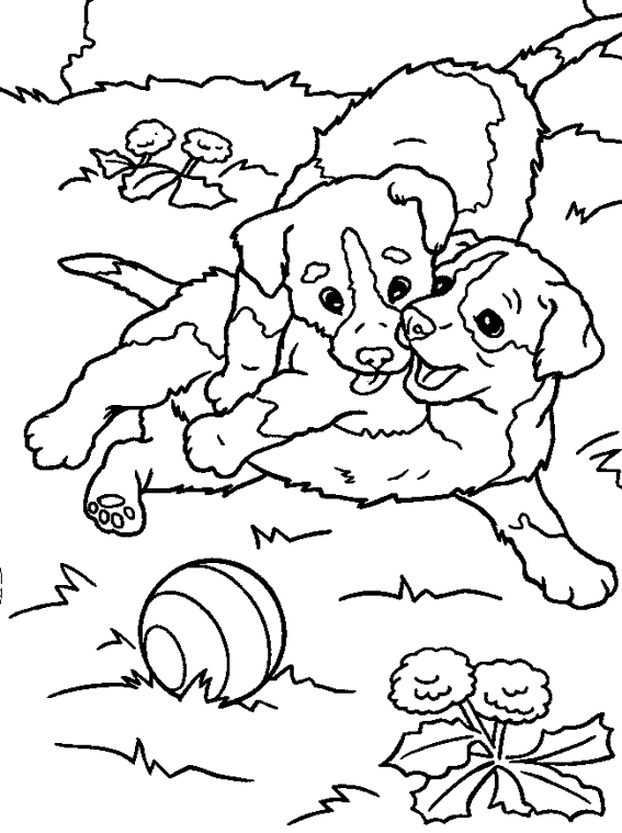 ぬりえページ: 子犬 (動物) #3005 - 無料の印刷可能なぬりえページ