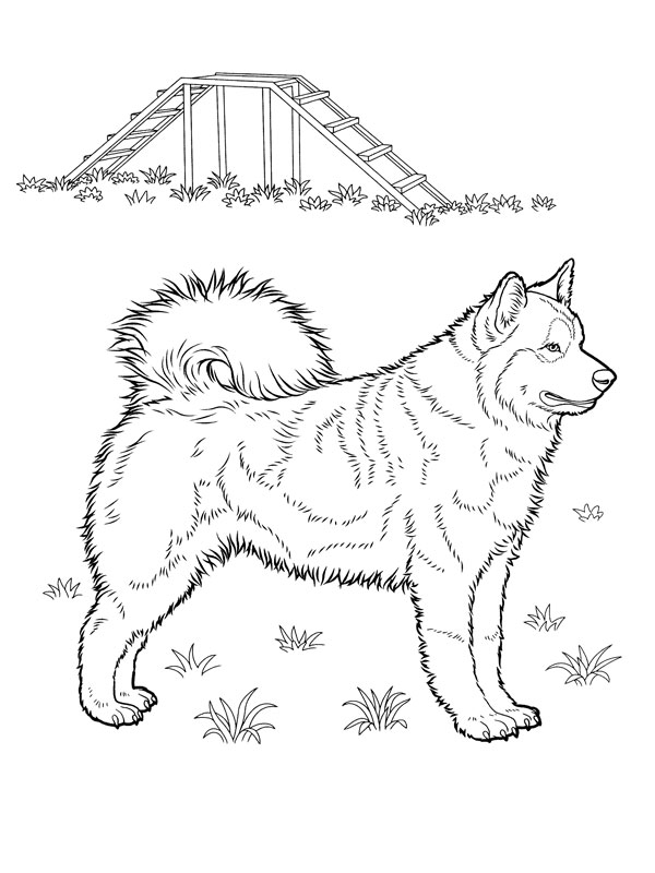 ぬりえページ: 子犬 (動物) #3008 - 無料の印刷可能なぬりえページ