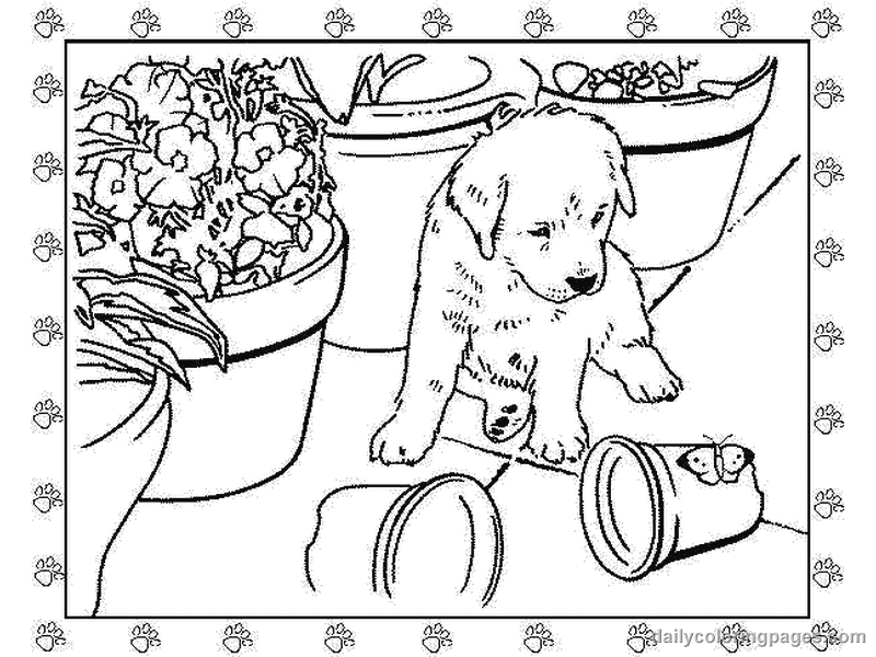 ぬりえページ: 子犬 (動物) #3011 - 無料の印刷可能なぬりえページ
