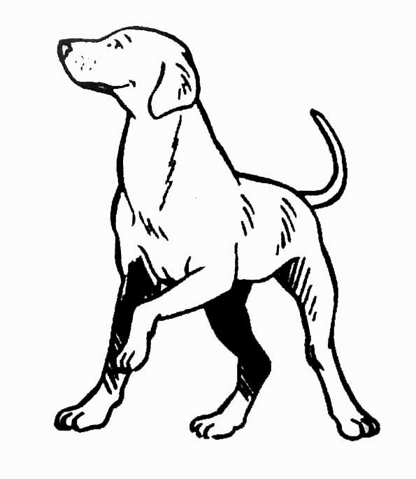 ぬりえページ: 子犬 (動物) #3014 - 無料の印刷可能なぬりえページ