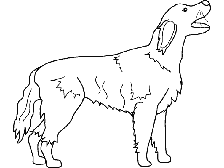 ぬりえページ: 子犬 (動物) #3025 - 無料の印刷可能なぬりえページ