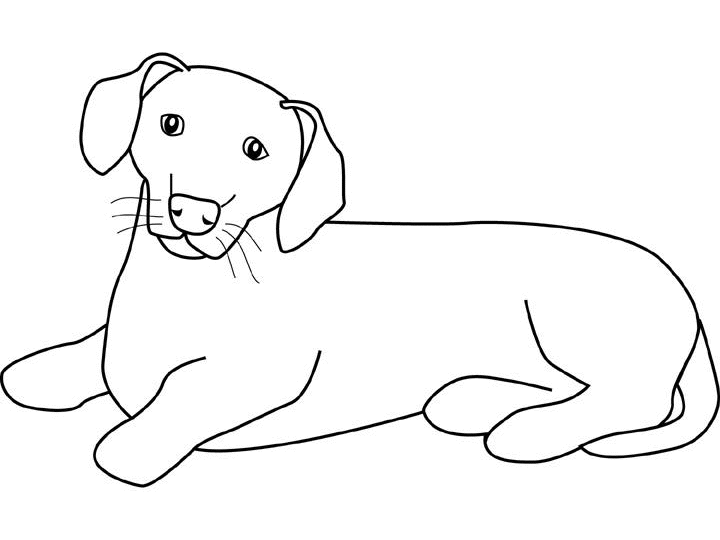 ぬりえページ: 子犬 (動物) #3031 - 無料の印刷可能なぬりえページ