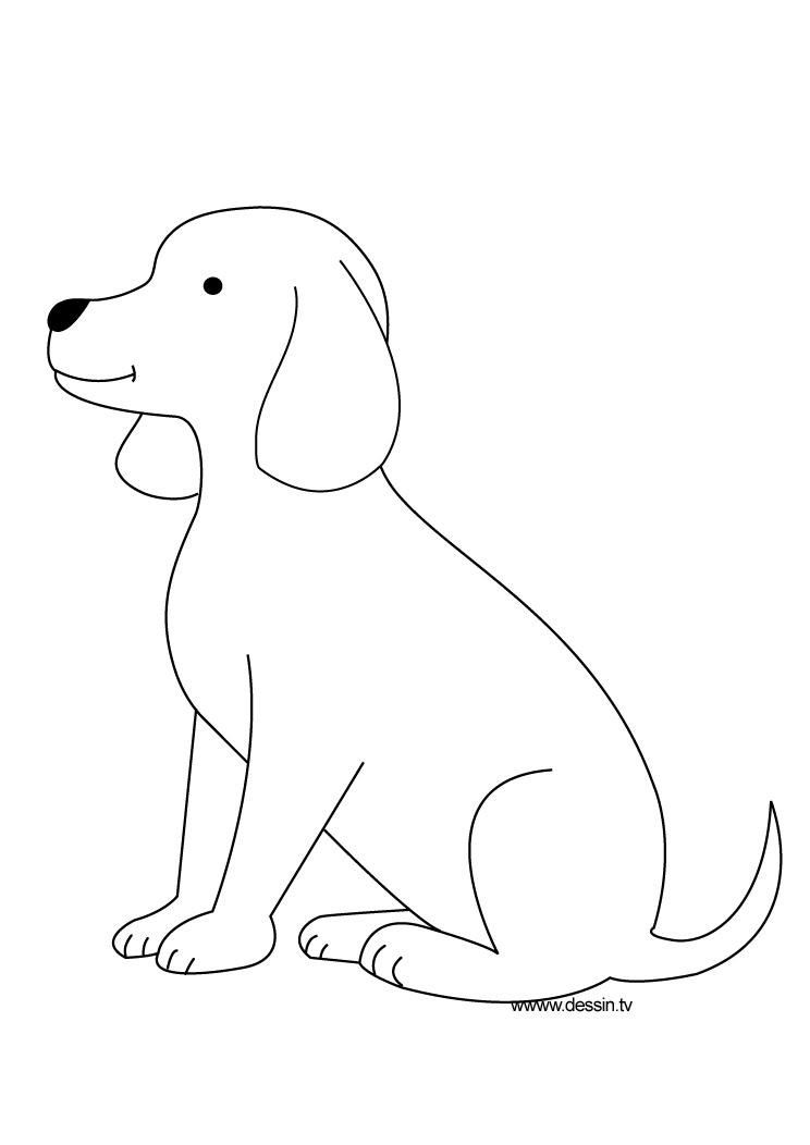 ぬりえページ: 子犬 (動物) #3035 - 無料の印刷可能なぬりえページ