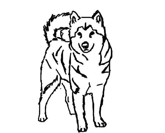 ぬりえページ: 子犬 (動物) #3048 - 無料の印刷可能なぬりえページ