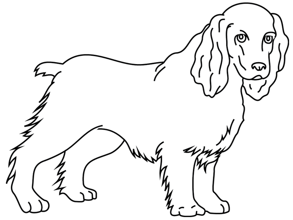 ぬりえページ: 子犬 (動物) #3077 - 無料の印刷可能なぬりえページ