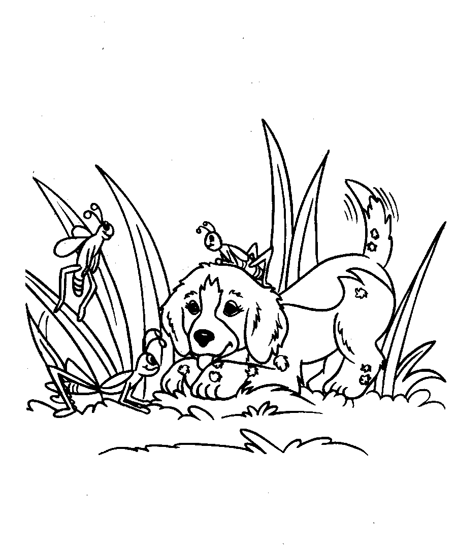 ぬりえページ: 子犬 (動物) #3082 - 無料の印刷可能なぬりえページ
