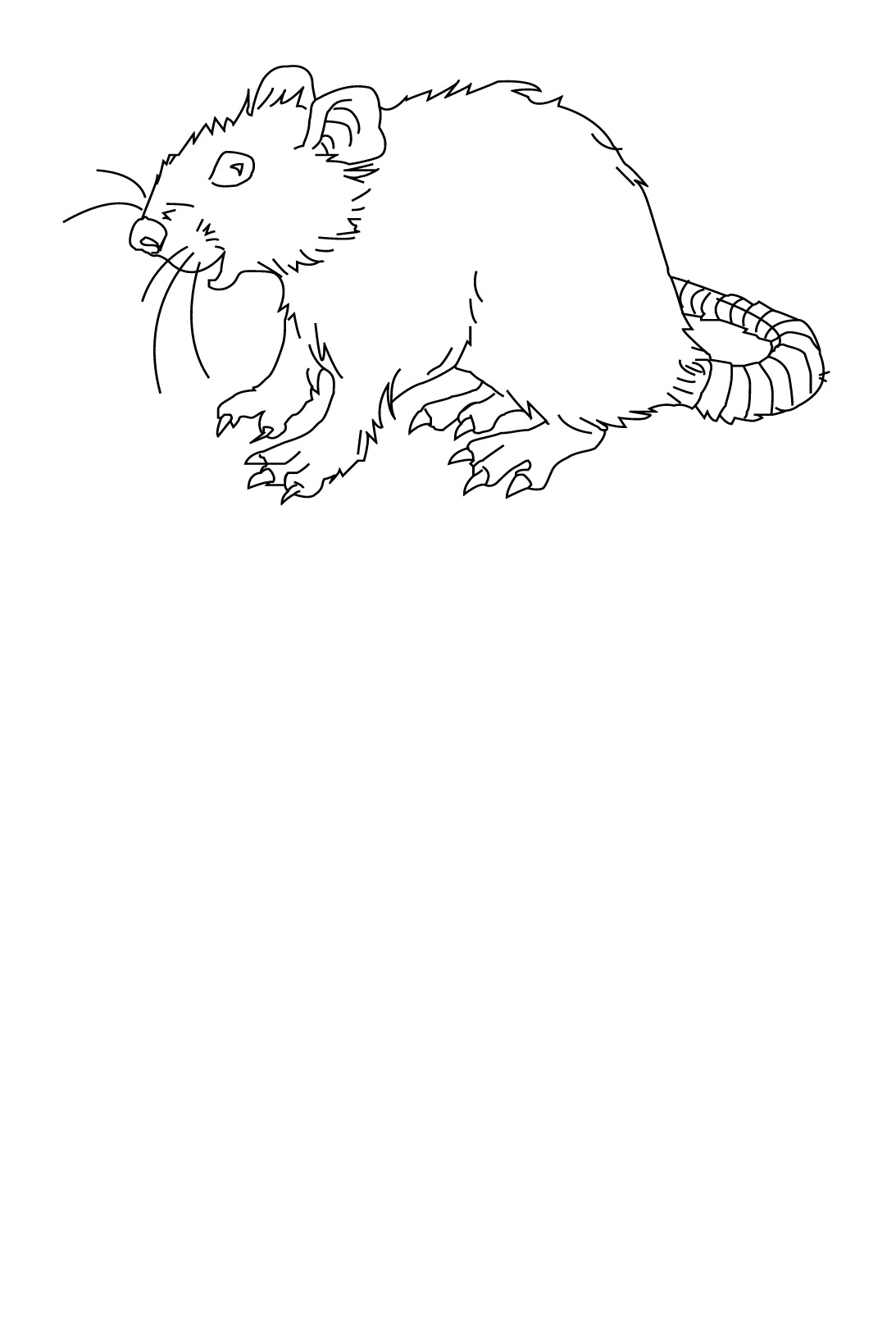 ぬりえページ: ラット (動物) #15215 - 無料の印刷可能なぬりえページ
