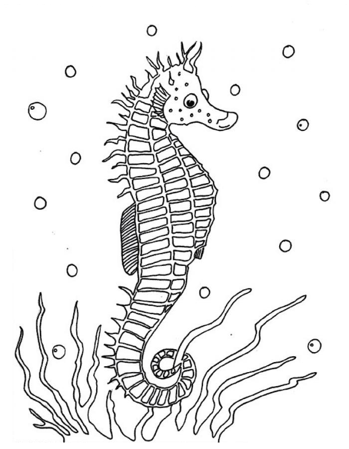 ぬりえページ: タツノオトシゴ (動物) #18600 - 無料の印刷可能なぬりえページ