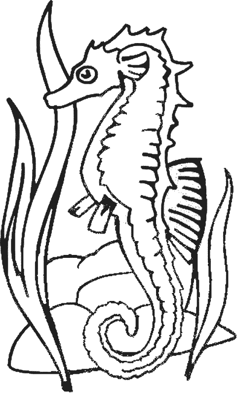 ぬりえページ: タツノオトシゴ (動物) #18632 - 無料の印刷可能なぬりえページ